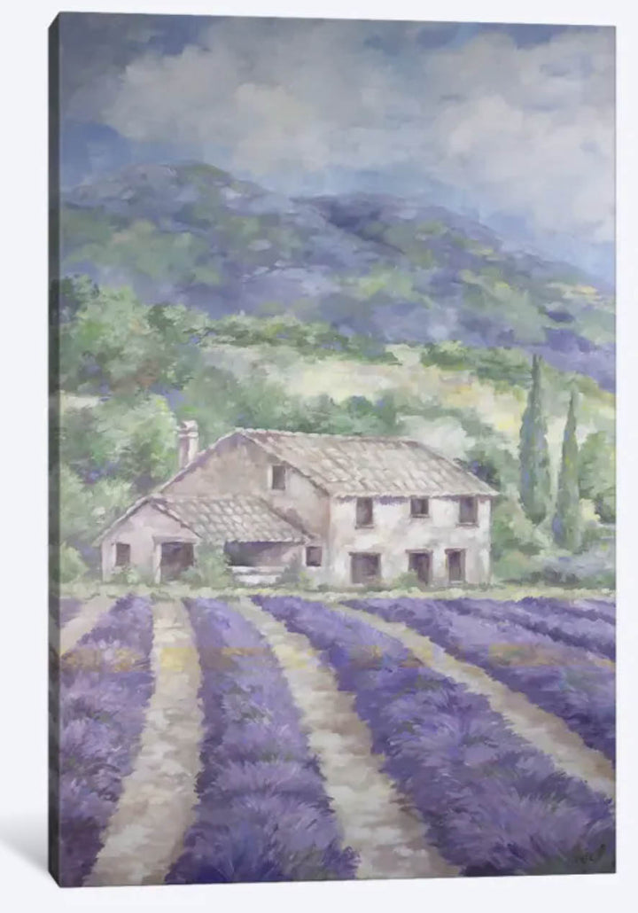 "French Lavender Fields" Canvas Print