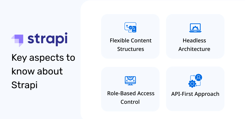 Understanding Strapi Basics